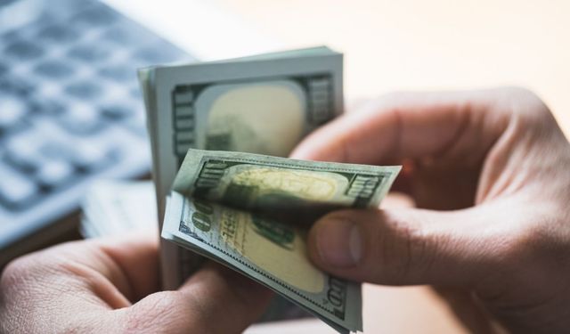 Reel efektif döviz kuru endeksi Mayıs ayında azaldı