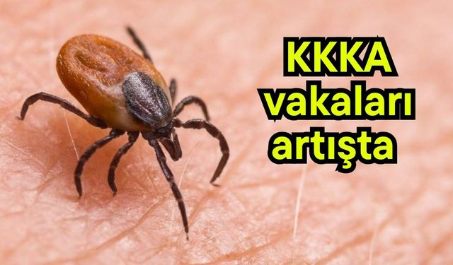 KKKA vakaları artışta