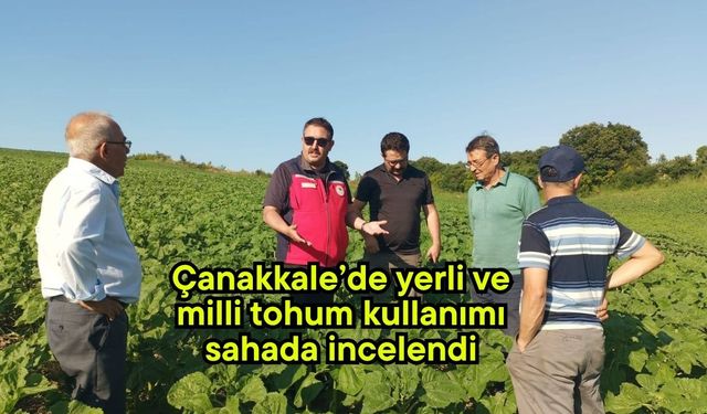Çanakkale’de yerli ve milli tohum kullanımı sahada incelendi