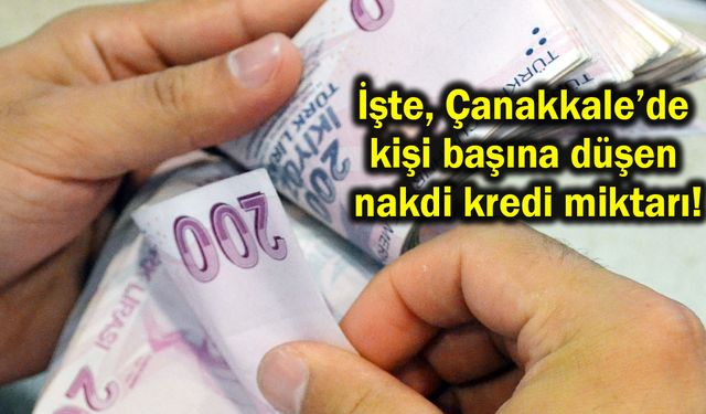 İşte, Çanakkale’de kişi başına düşen nakdi kredi miktarı!