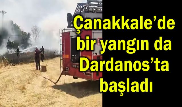 Çanakkale’de bir yangın da Dardanos’ta başladı