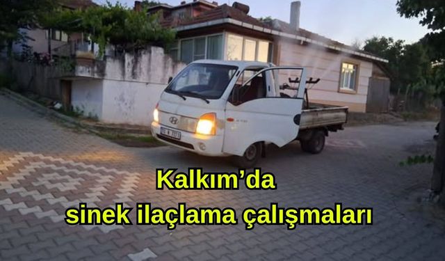 Kalkım’da sinek ilaçlama çalışmaları