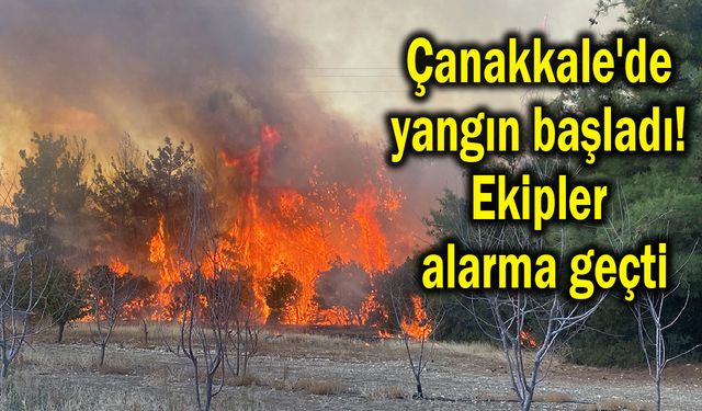 Çanakkale'de yangın başladı! Ekipler alarma geçti