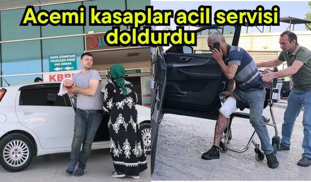 Acemi kasaplar acil servisi doldurdu