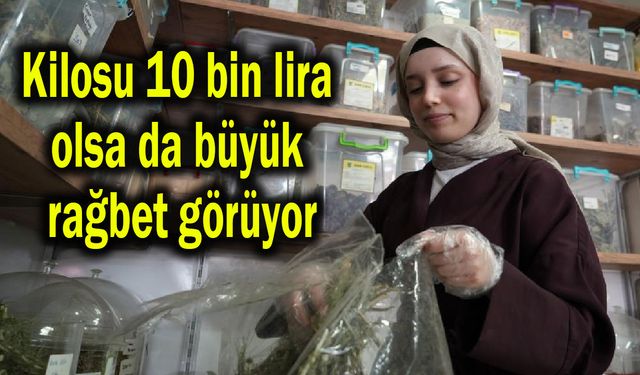 Kilosu 10 bin lira olsa da büyük rağbet görüyor (Video)