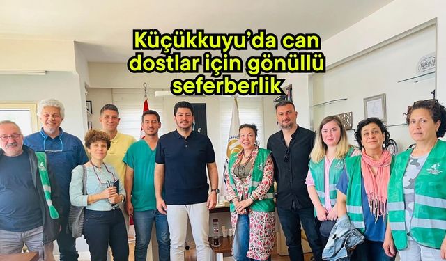 Küçükkuyu’da can dostlar için gönüllü seferberlik