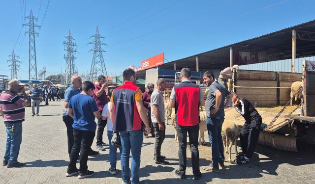 Çanakkale’de kurbanlık kesimleri adım adım izlendi