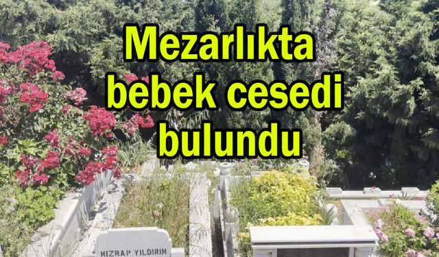 Mezarlıkta bebek cesedi bulundu (Video)