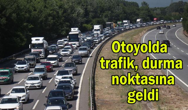 Otoyolda trafik durma noktasına geldi (Video)