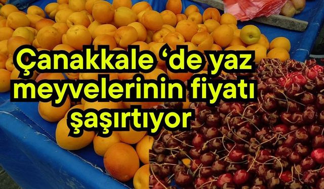 Çanakkale ‘de yaz meyvelerin fiyatı şaşırtıyor