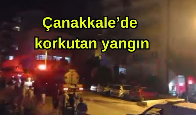 Çanakkale'de korkutan yangın