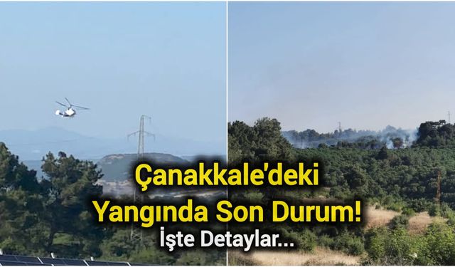 Çanakkale'deki Yangında Son Durum! İşte Detaylar...