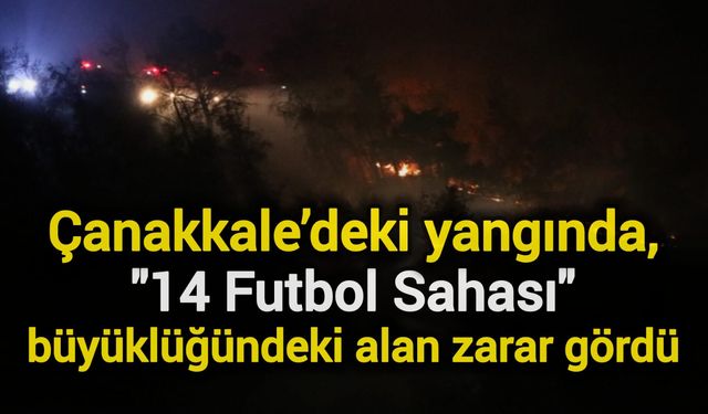 Çanakkale’deki yangında, 14 futbol sahası büyüklüğündeki alan zarar gördü