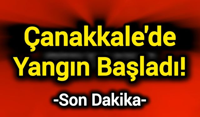 Çanakkale’de Yangın Başladı!