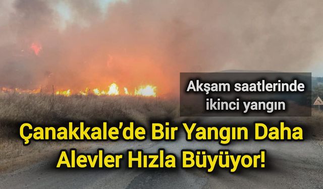 Çanakkale’de Bir Yangın Daha: Alevler Büyüyor!