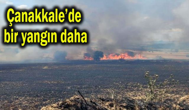 Çanakkale'de bir yangın daha