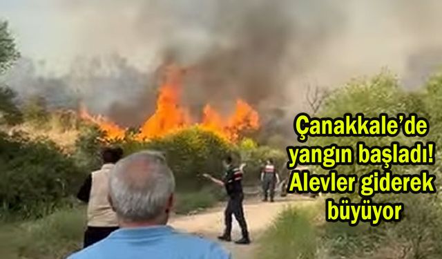 Çanakkale’de yangın başladı! Alevler giderek büyüyor