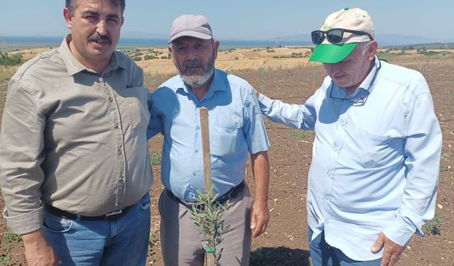 Çanakkaleli çiftçi kendi havuz ve sulama sistemini kurdu