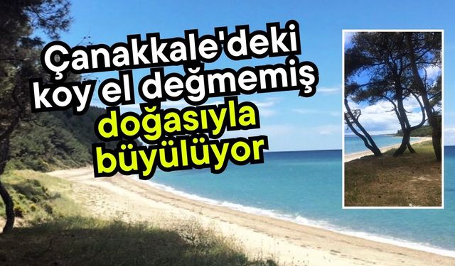 Çanakkale'deki koy el değmemiş doğasıyla büyülüyor
