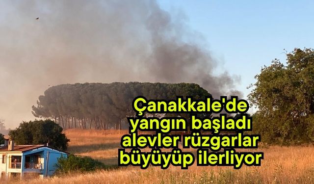 Çanakkale'de yangın başladı, alevler rüzgarlar büyüyüp ilerliyor (Video)
