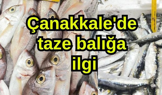 Çanakkale'de taze balığa ilgi
