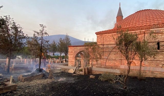Çanakkale'deki orman yangınında tarihi mezarlar zarar gördü (Video)