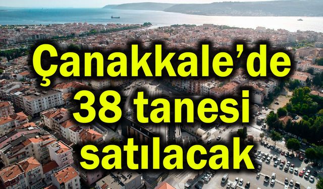 Çanakkale’de 38 tanesi satılacak
