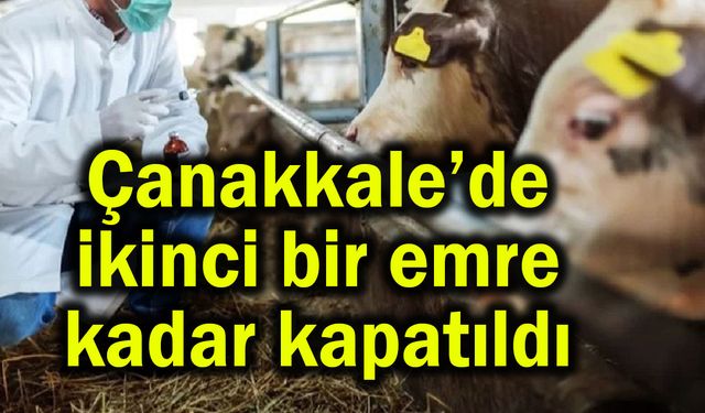Çanakkale'de ikinci bir emre kadar kapatıldı