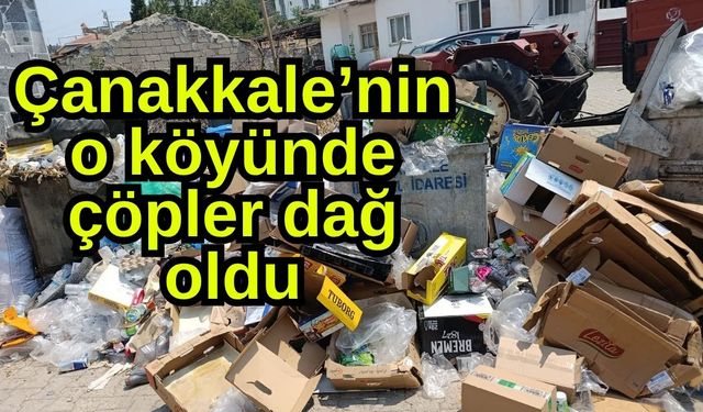 Çanakkale’nin o köyünde çöpler dağ oldu