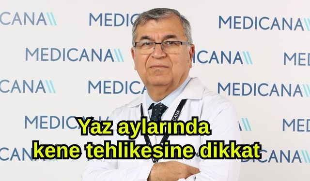 Yaz aylarında kene tehlikesine dikkat
