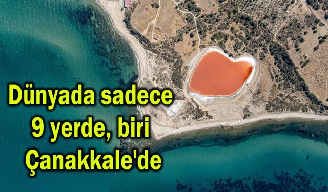 Dünyada sadece 9 yerde, biri Çanakkale'de