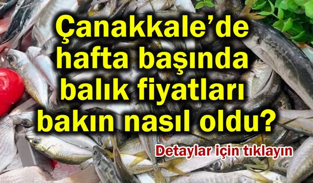 Çanakkale’de hafta başında balık fiyatları bakın nasıl oldu?