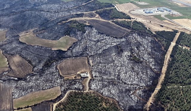Çanakkale’deki yangın kontrol altına alındı