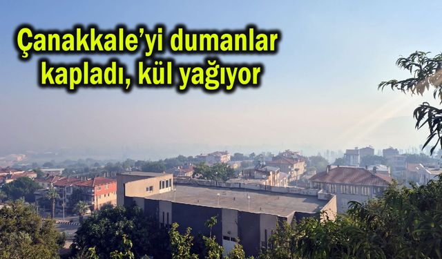 Çanakkale’yi dumanlar kapladı, kül yağıyor (Video)