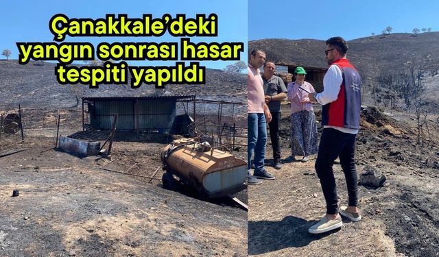 Çanakkale’deki yangın sonrası hasar tespiti yapıldı