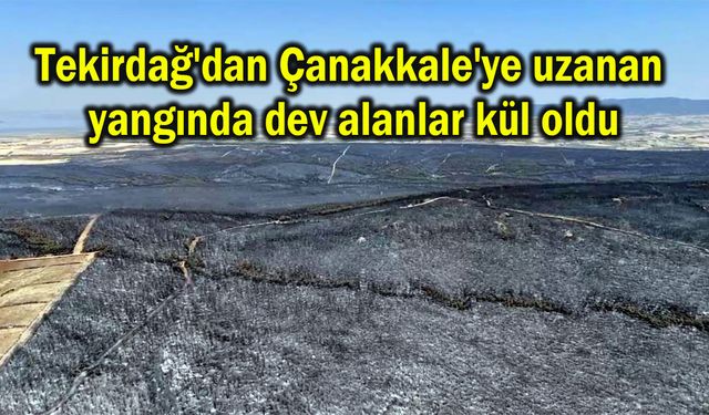 Tekirdağ'dan Çanakkale'ye uzanan yangında dev alanlar kül oldu (Video)