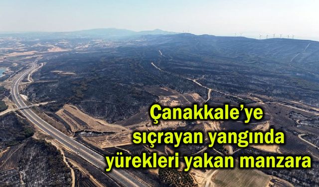 Çanakkale’ye sıçrayan yangında yürekleri yakan manzara (Tıkla izle)