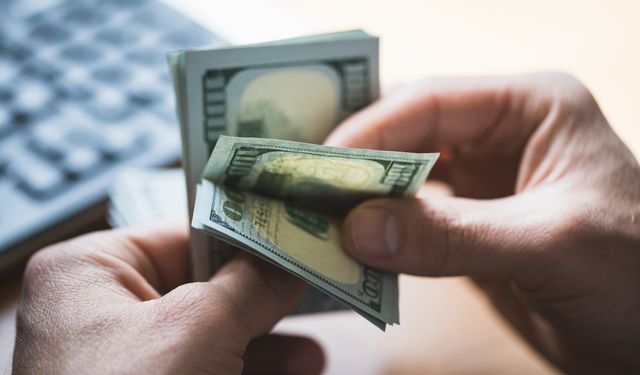 Reel efektif döviz kuru endeksi Temmuz ayında azaldı
