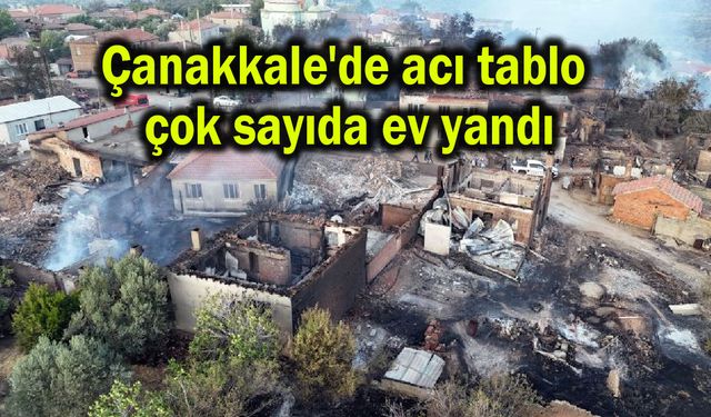 Çanakkale'de çok sayıda ev yandı (Video)