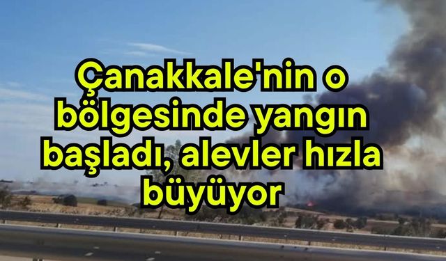 Çanakkale'nin o bölgesinde yangın başladı, alevler hızla büyüyor