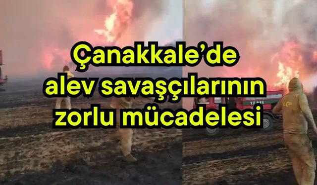 Çanakkale’de alev savaşçılarının zorlu mücadelesi (Video)