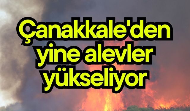 Çanakkale'den yine alevler yükseliyor