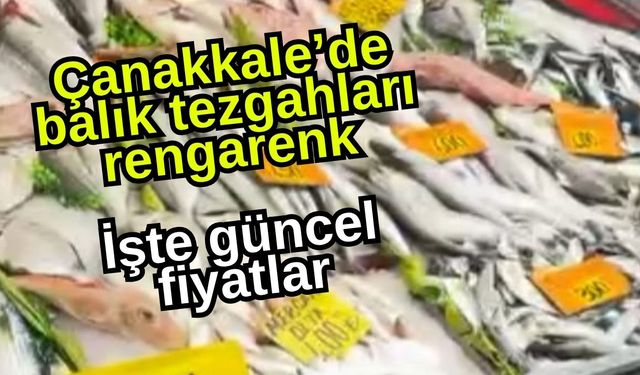 Çanakkale’de balık tezgahları rengarenk: İşte güncel fiyatlar