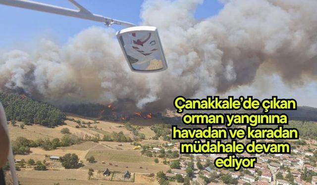 Çanakkale'de çıkan orman yangınına havadan ve karadan müdahale devam ediyor
