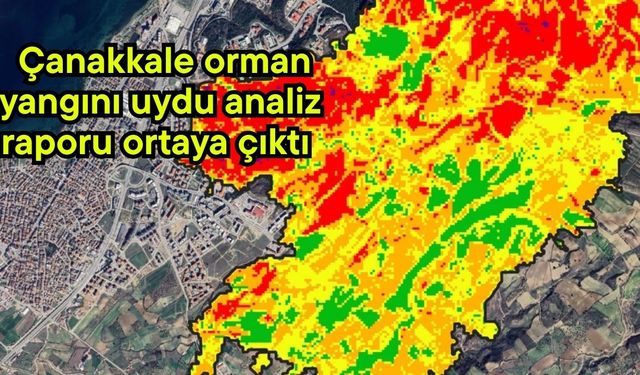 Çanakkale orman yangını uydu analiz raporu ortaya çıktı