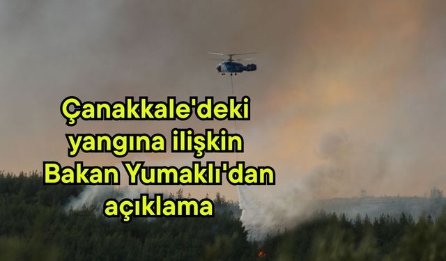 Çanakkale'deki yangına ilişkin Bakan Yumaklı'dan açıklama