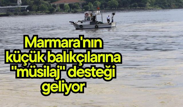 Marmara'nın küçük balıkçılarına "müsilaj" desteği geliyor (Video)