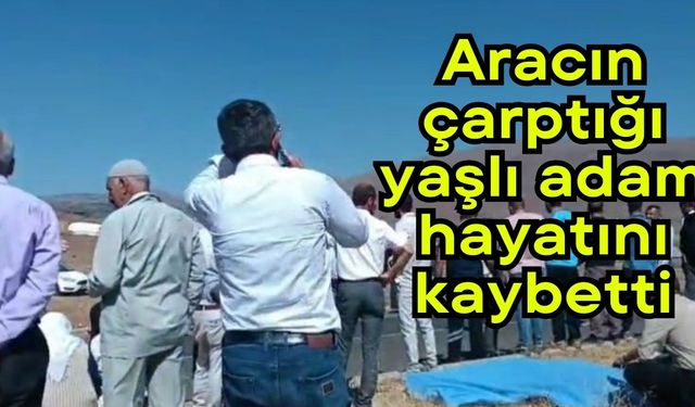 Aracın çarptığı yaşlı adam hayatını kaybetti