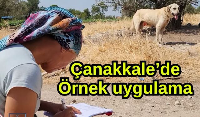 Çanakkale’de Örnek uygulama
