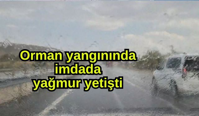 Orman yangınında imdada yağmur yetişti